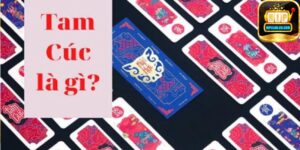 Tổng quan về một số điểm cơ bản của bài Tam Cúc HipClub